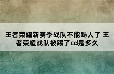 王者荣耀新赛季战队不能踢人了 王者荣耀战队被踢了cd是多久